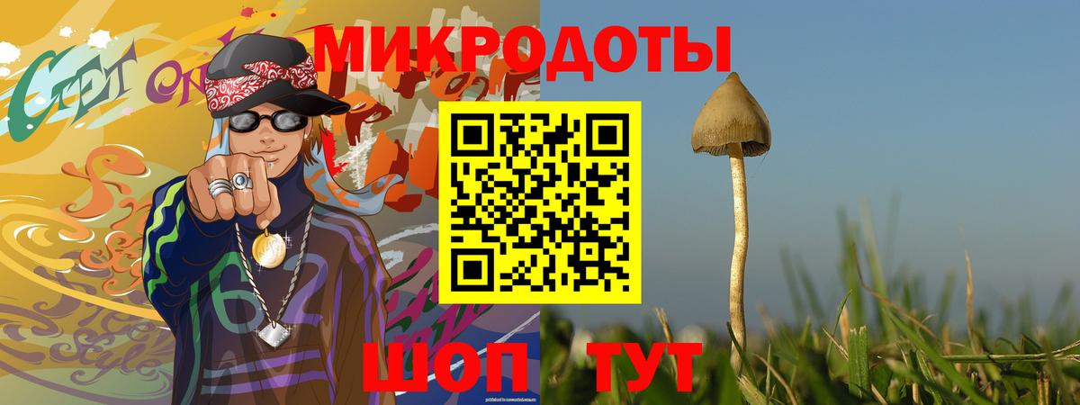 Галлюциногенные грибы MAGIC MUSHROOMS Торжок